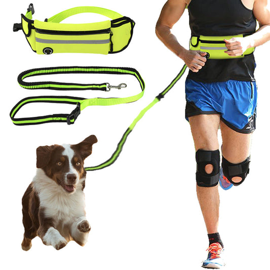 Demnstration of Pet Sports Bag with Reflective leash and waist strap