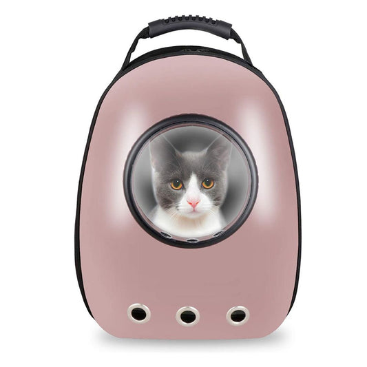 Image of Cat in the Pink hard side backpack