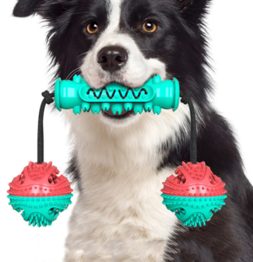 Dog chew toy for fun and teeth cleaning