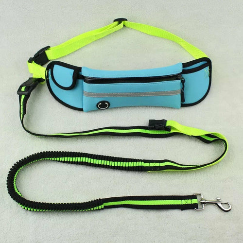 Pet Sports Bag with Reflective leash and waist strap