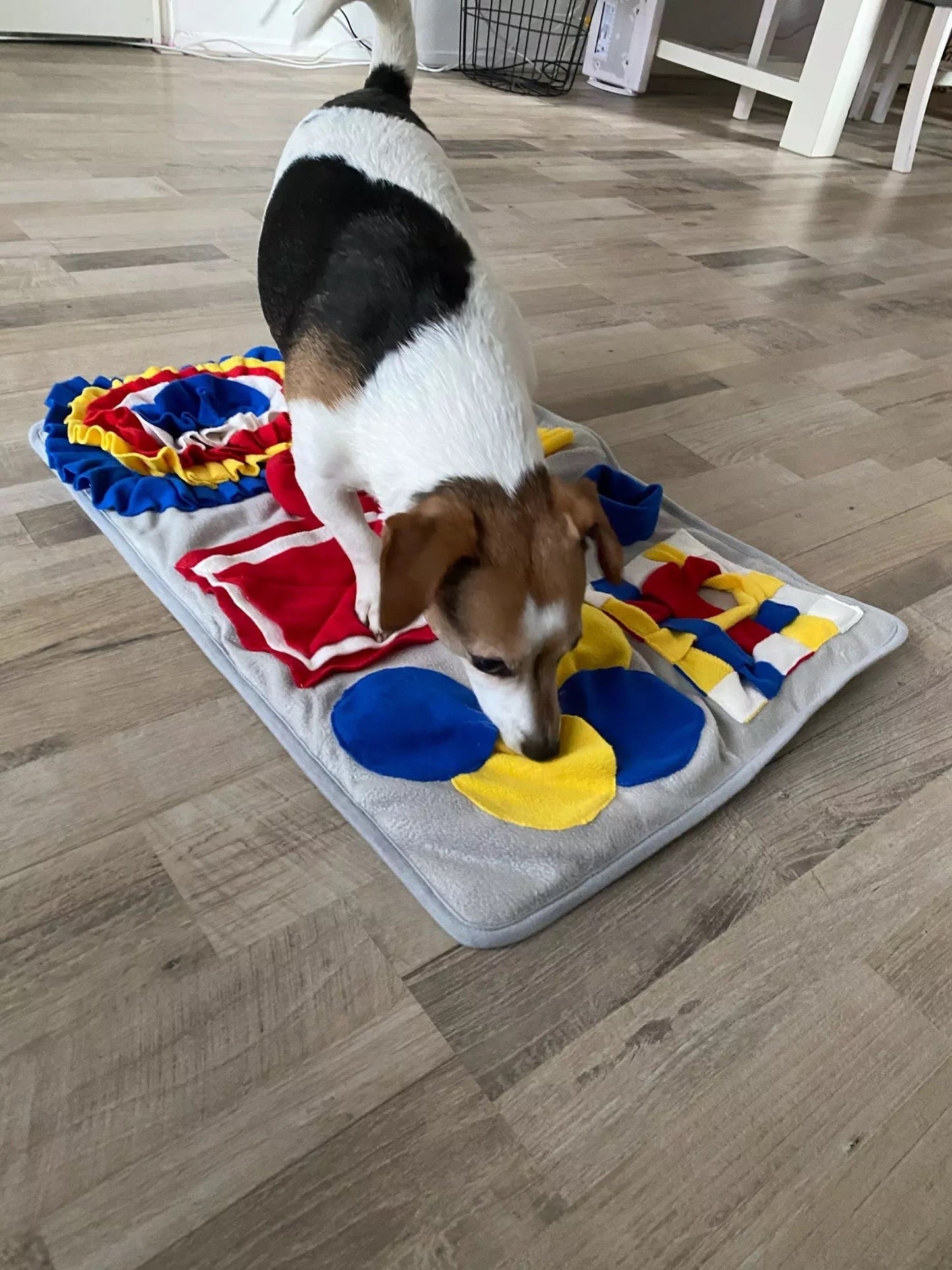 Image of dog using the red white and blue Sniffing mat