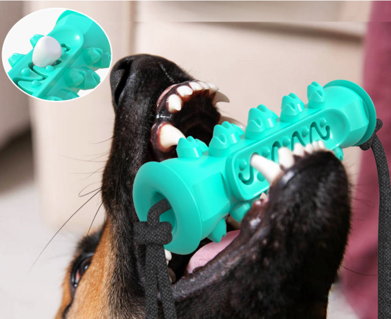 Dog chew toy for fun and teeth cleaning