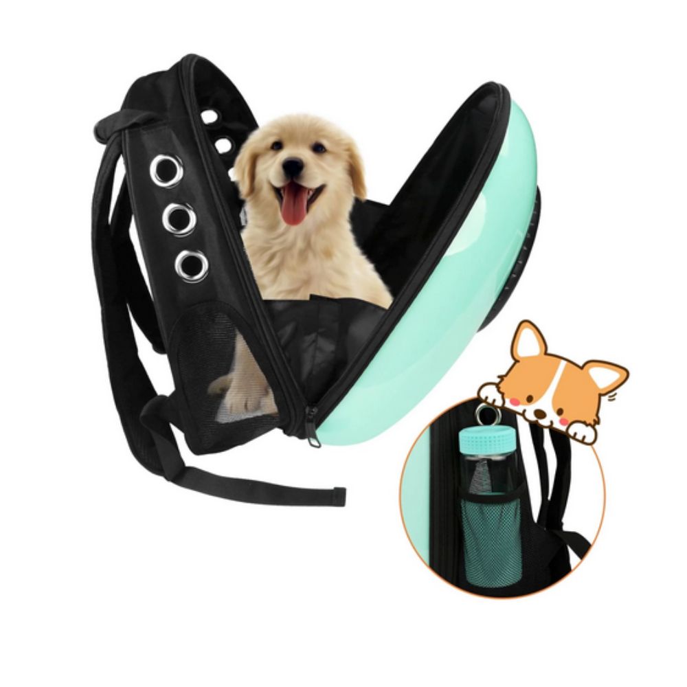 Image of open Green Backpack with puppy in it.