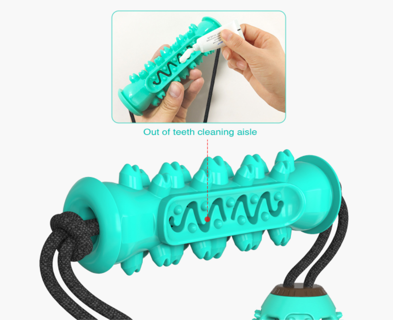 Dog chew toy for fun and teeth cleaning