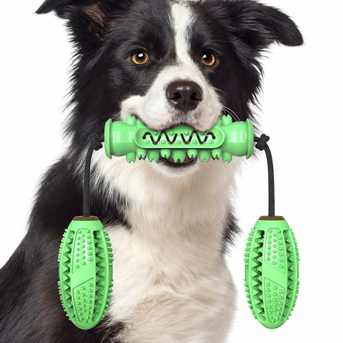 Dog chew toy for fun and teeth cleaning