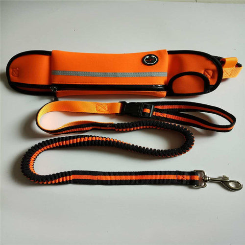 Pet Sports Bag with Reflective leash and waist strap