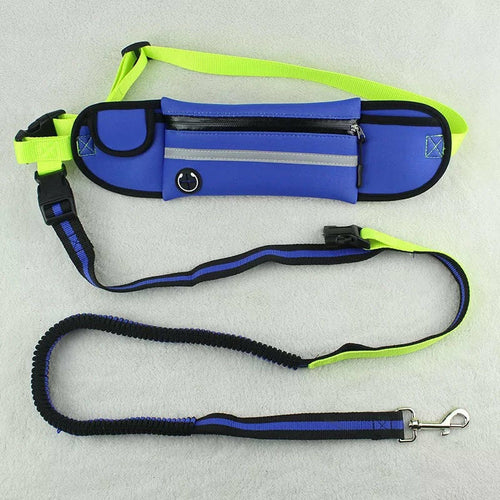 Pet Sports Bag with Reflective leash and waist strap