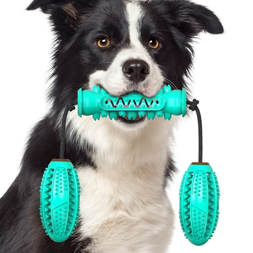 Dog chew toy for fun and teeth cleaning