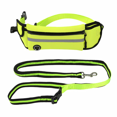 Pet Sports Bag with Reflective leash and waist strap