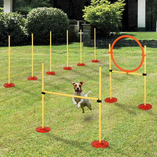 3PCs Portable Pet Agility Kit