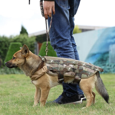 this Reflective Collar works on Dog Harness Well