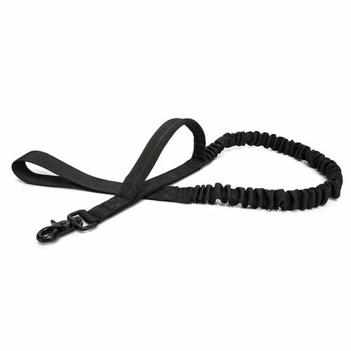 Highly Reflective Dog Leash -4 Colors