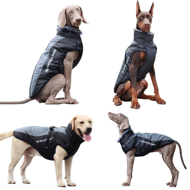 Photo of 4 large dogs wearing this jacket