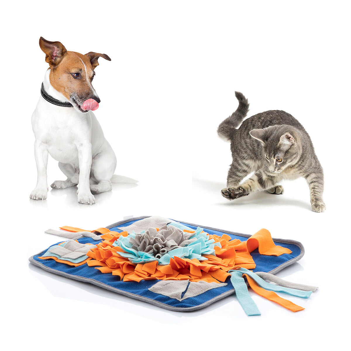 Image of Dog and Cat playing with the Sniffing mat