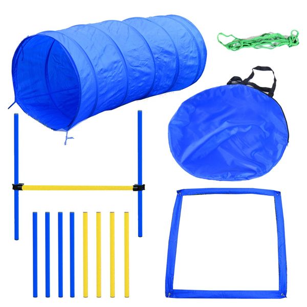 Image of agility training equipment put together with carrying case