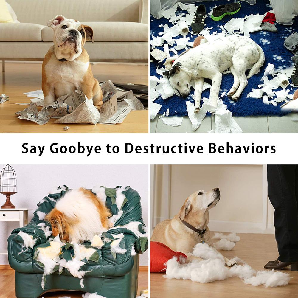 Images of destructive behavior that can be avoided